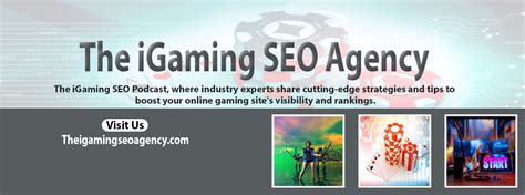 https://theigamingseoagency.com/|Terms And Conditions .
